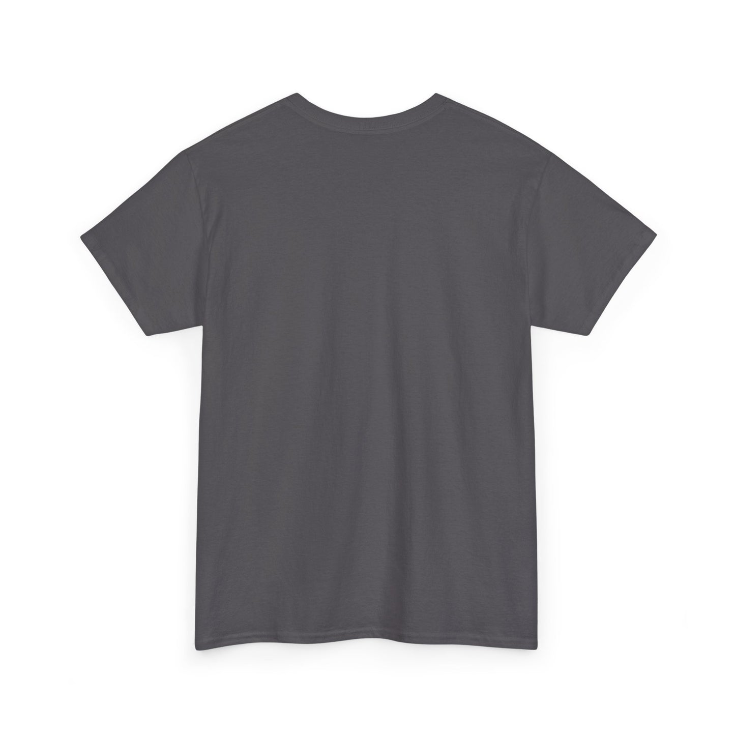 ALZA charcoal comfort T-shirt